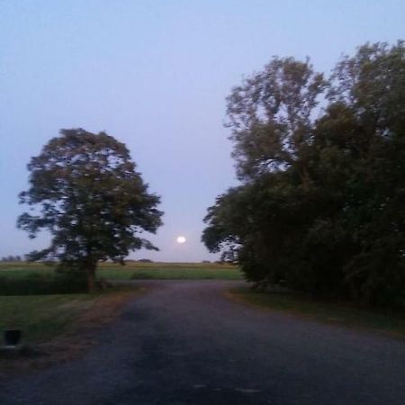 莱米尔Het Friese Landschap公寓 外观 照片